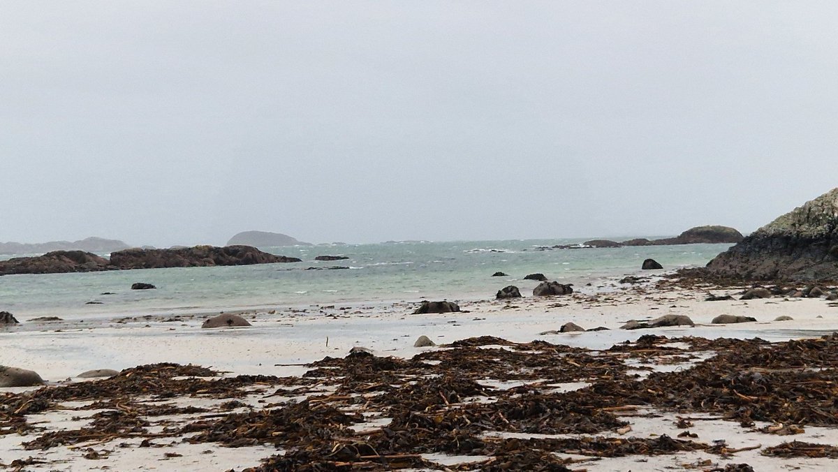 EileanIdhe's tweet photo. Happy to be 'home' on The Rock. After a fab massage this morn I enjoyed a lovely walk around the 'four roads',  then Traigh Mhor [my Turtle Beach!] &amp; Sand Eels Bay #isleifiona #innerhebrides #iona #calmacferry #reflections #beachwalk #blowcobwebsaway https://t.co/WWZulB2c1m