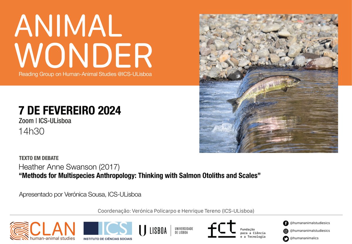 Nova sessão Animal Wonder! 😊 Para mais informações:  info@humananimalstudies.net #humananimalstudies #humananimalrelationship #animalstudies #readinggroup #clanics #picoftheday #photooftheday