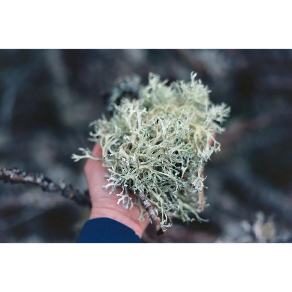 ‘Sensory Methods Towards More-Than-Verbal Placemaking: Case Studies on Tacit Knowledge of Place’ - A short paper from me - with an emphasis on how participatory projects could open their doors to diverse experiences and knowledge beyond the verbal.
sociosummit.hu/wp-content/upl…