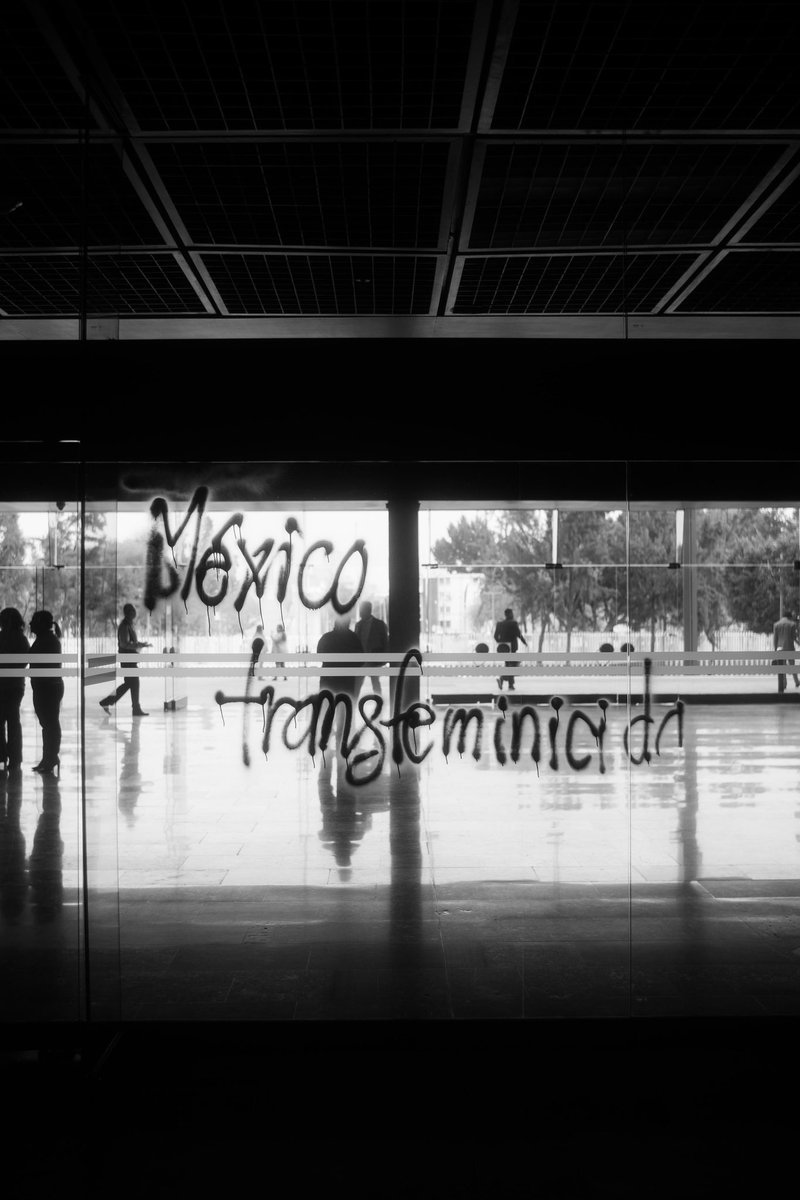 samano_O's tweet photo. México transfeminicida.
Pinta en la Cámara de Diputados @Mx_Diputados
#LeyIntegralTrans 🏳️‍⚧️ https://t.co/tjB0VwZvlZ