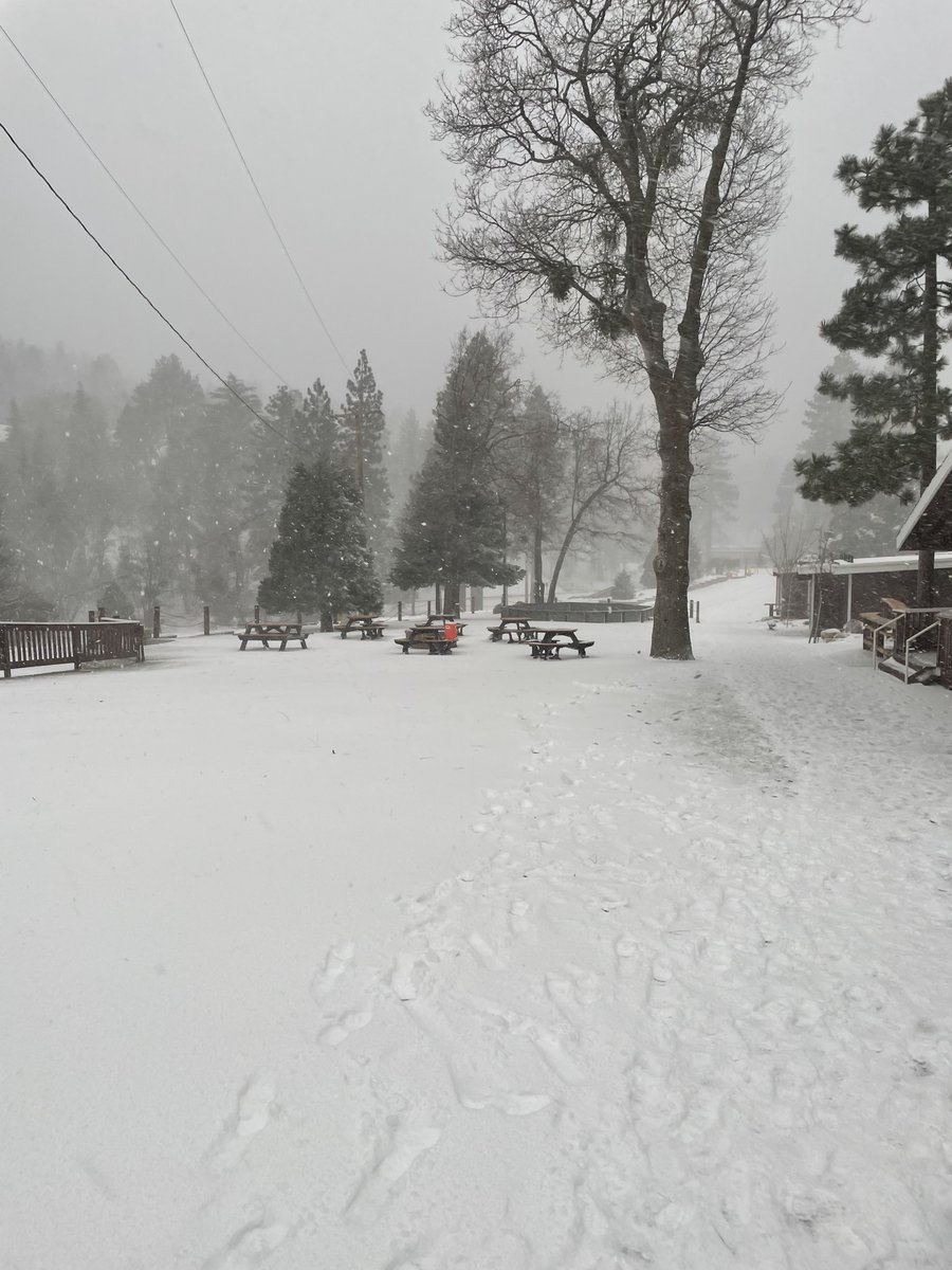 PricePanthers's tweet image. Our 5th graders are having a blast at Camp Pali this week! 🏔️🌲What a difference a day makes! 🌤️❄️