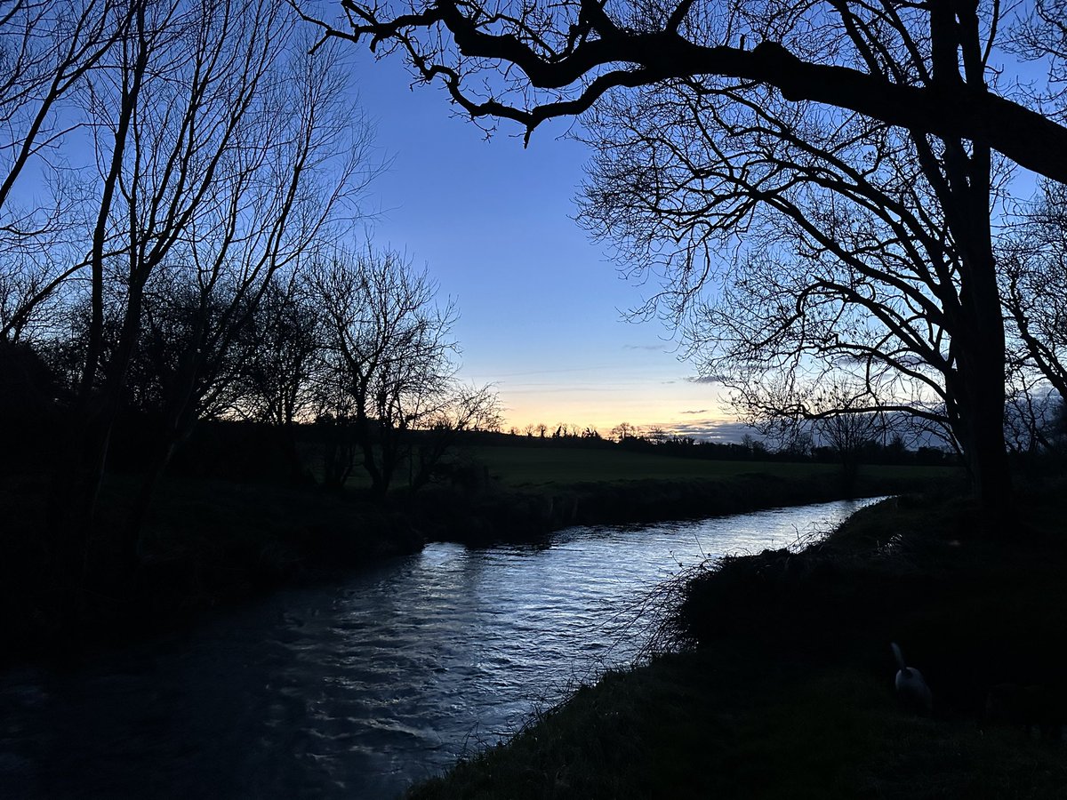 Kilsharvan Demesne tweet media