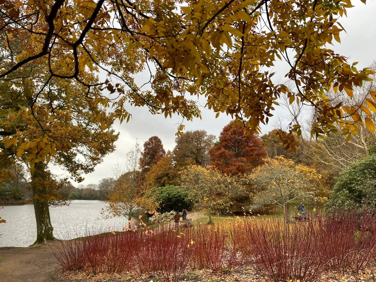 tiptreez49's tweet photo. The weather is not pleasant, but the surrounding scenery makes the mind clear, and nature is balanced🖤🫴🍂 https://t.co/goZ4kaKN9e