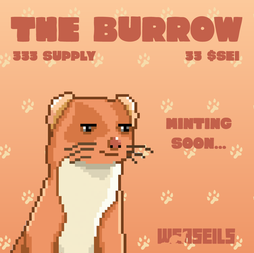 WeaseilsNFT tweet media