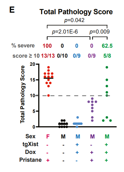 Women are 4-times more likely to have autoimmune diseases than men. Why is this? From Dou et al. in Cell, today In females, the second X chromosome is silenced by a long non-coding RNA, called Xist (pronounced 'exist') - males don't express Xist Xist, together with almost