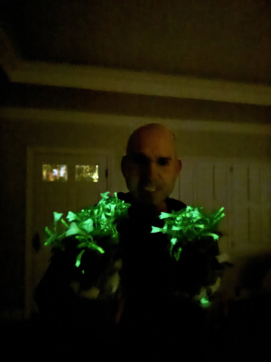 omri_drory tweet media