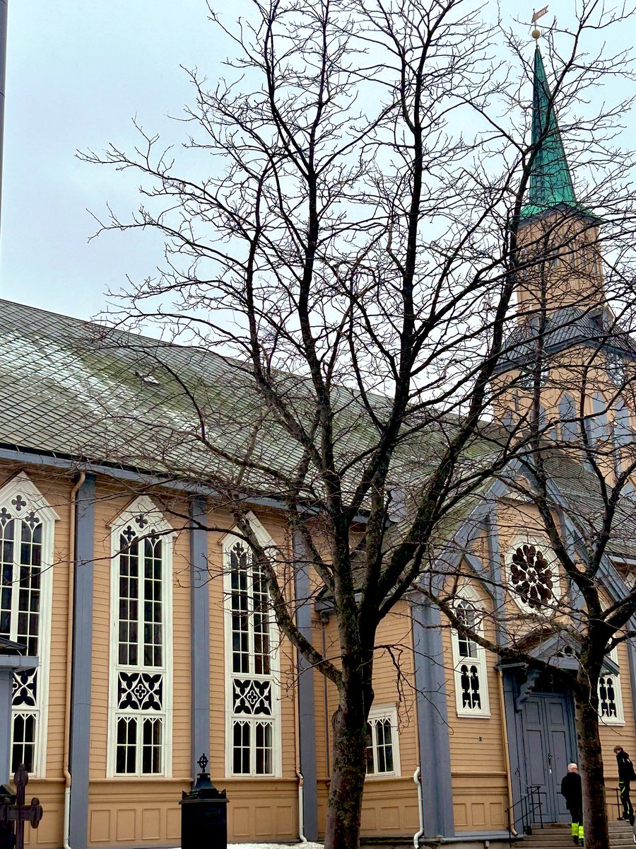 Rosalind Garcia tweet media