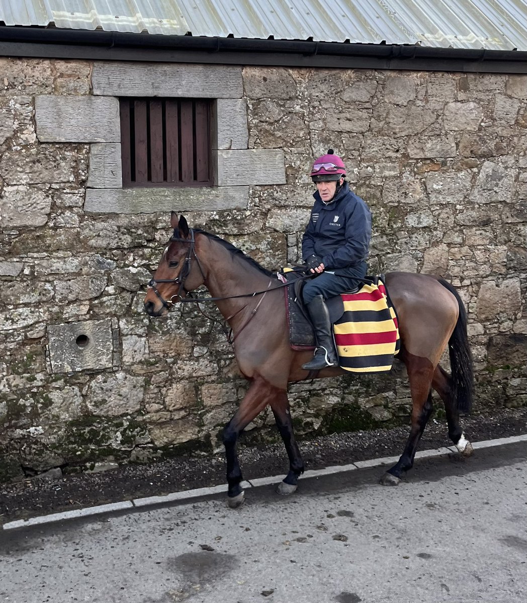 roberthogarth's tweet photo. Three Generations of Scudamore Riding Out @lucindavrussell Racing Today https://t.co/CH5NIZmThb