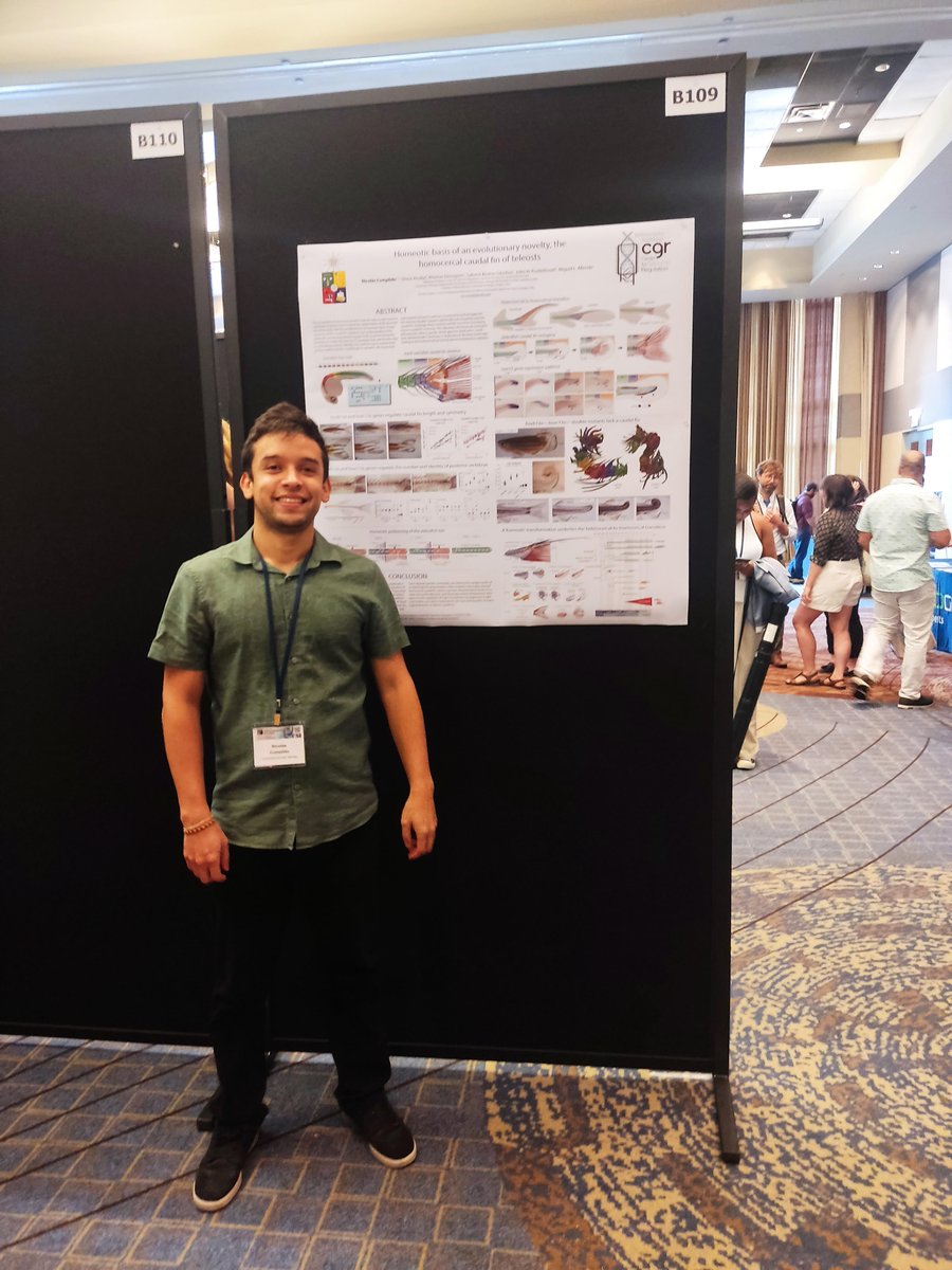 CienciasUChile tweet media