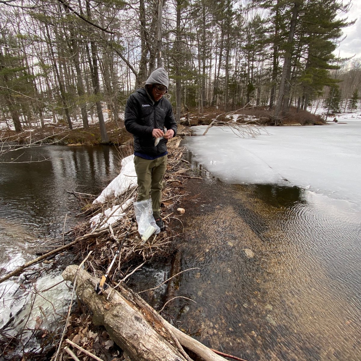 Our lab team is beginning to go back out into the frozen world to sample for the Adirondack Long Term Monitoring program! Why not join them vicariously through the three part blog series written by Per Diem Research Tech Bobby Clark.
adkwatershed.org/blog/a-researc…