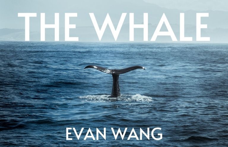 FrontierPoetry's tweet photo. #ICYMI Take a peak at last week's New Voices poem: The Whale by Evan Wang!

#frontierpoetry #poetry #newvoices https://t.co/gaaMek2Rlb
