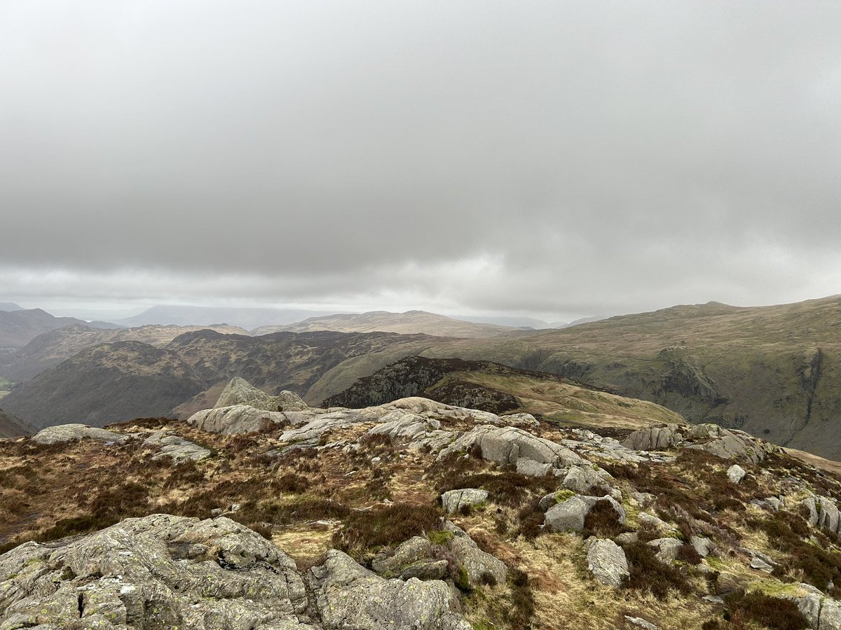 Dave McNamara tweet media