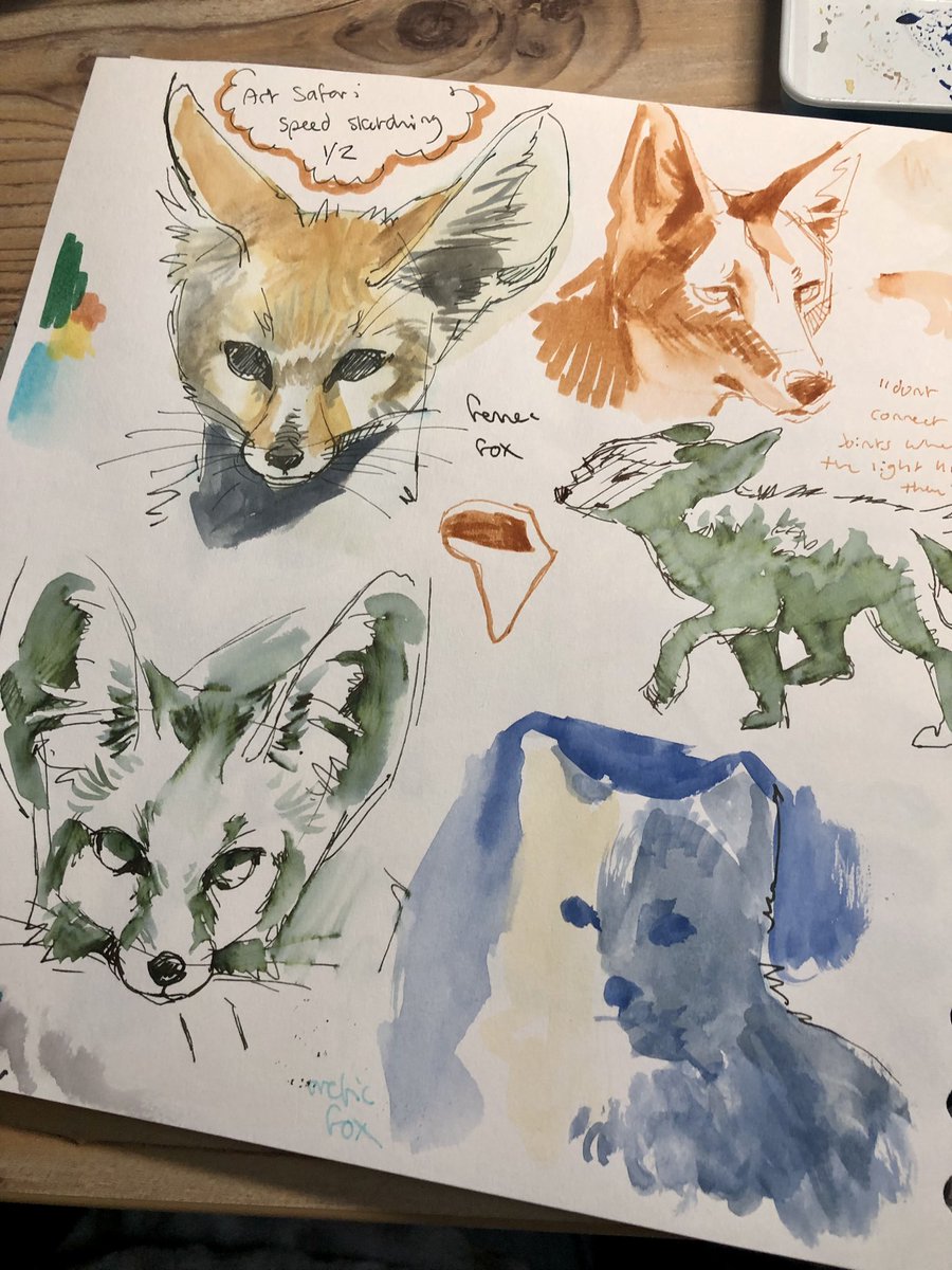 Foxes from a lil live streamed life drawing speed sketching thing 