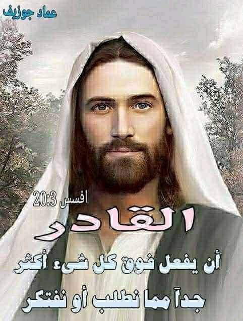 Sherine Nabil (@sherinnabil8) on Twitter photo 