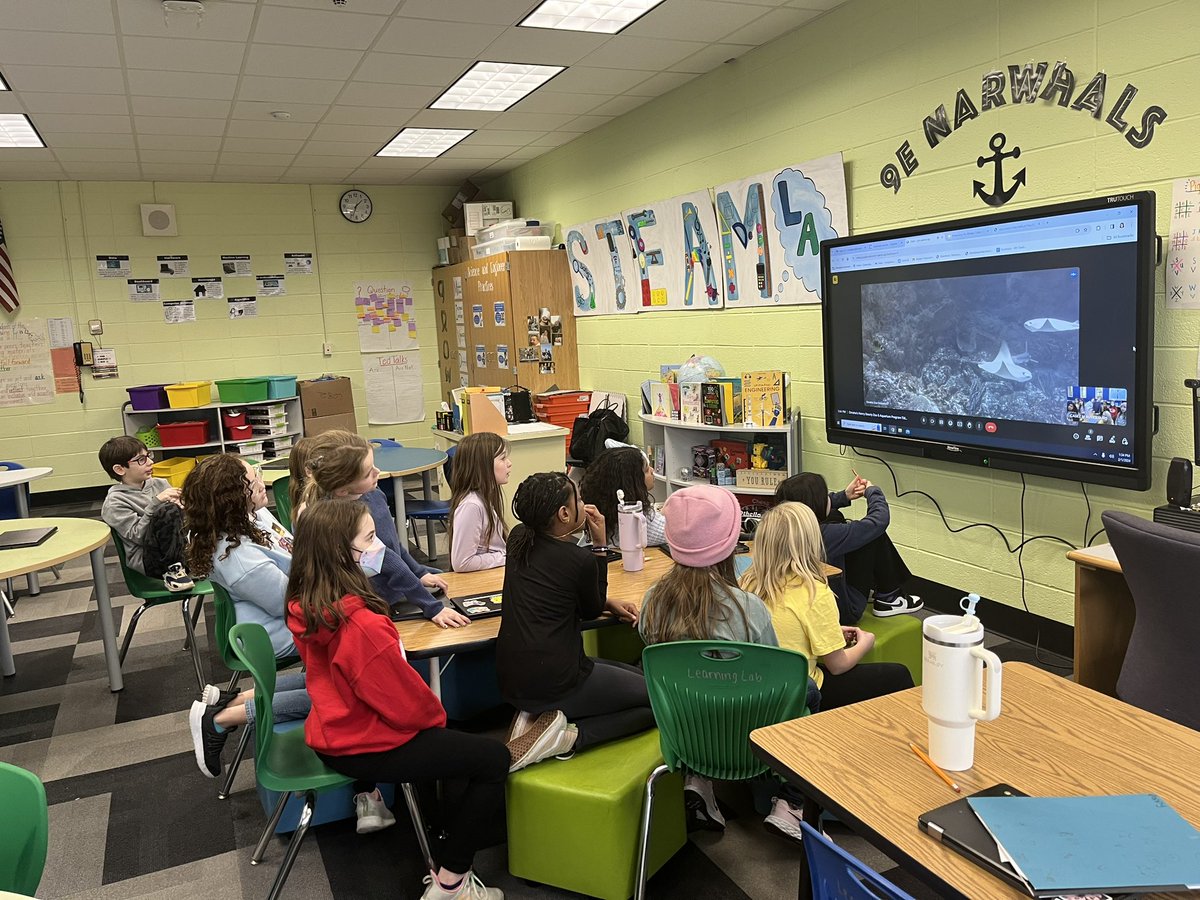 mrsrutigliano9e's tweet photo. Thank you @NassauBOCES for connecting us with the Omaha Aquarium to learn more about Ocean Pollution and Conversation! #ProjectExtra 🦈 @School9E https://t.co/xElx7mdfiL