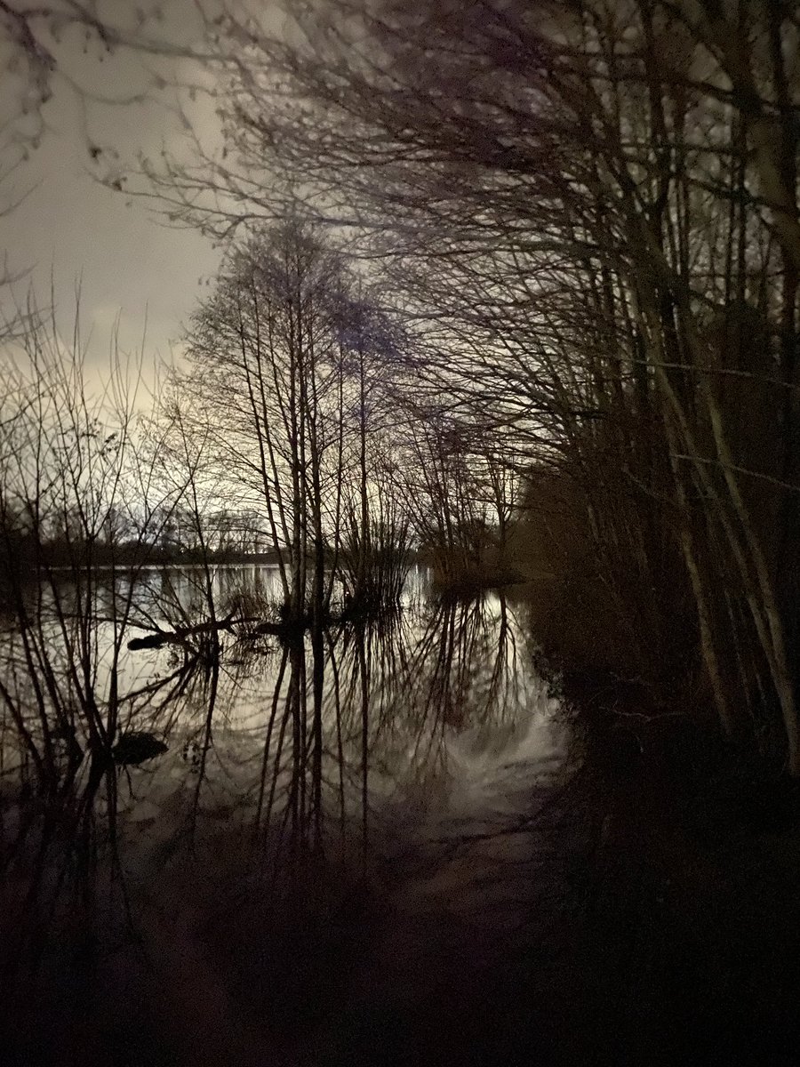 Some moody photos that I really like from a nocturnal wander at Whitlingham CP