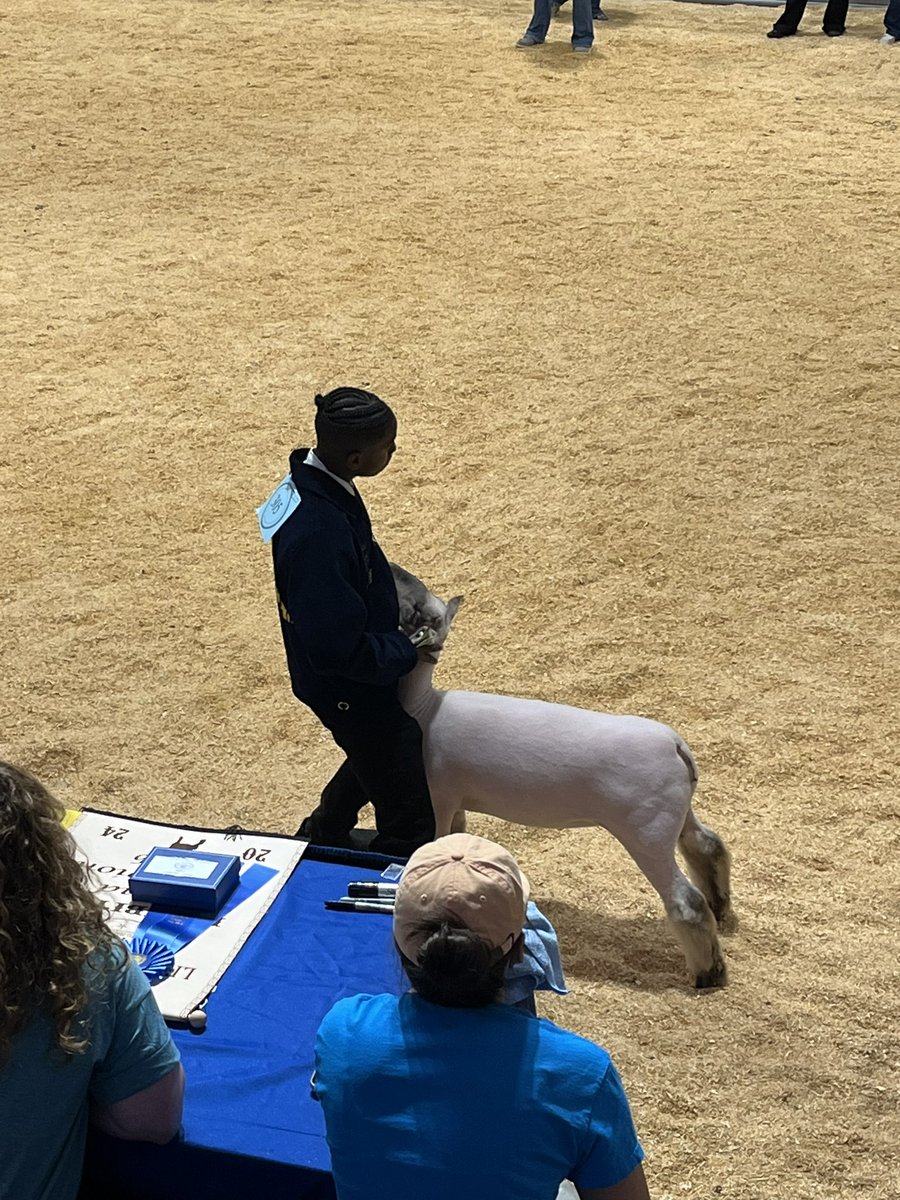 DrLozano_CFISD's tweet photo. Had a great time seeing all the projects our @cyridgeffa students have been working on through the year at the @CyFairISD Livestock Show! Way to represent Ram Nation! @CypressRidgeHS @CFISDCTE @SarahHarty3 #CFISDLivestock #CFISDSpirit #RamNation #RamPride https://t.co/EGiKdvatfR