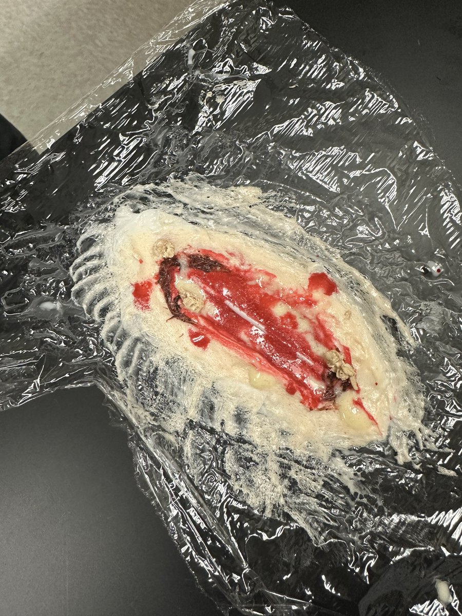 Students in Mrs. Detwiler’s “Pathways to Health Professions” program made their own wounds in class today!