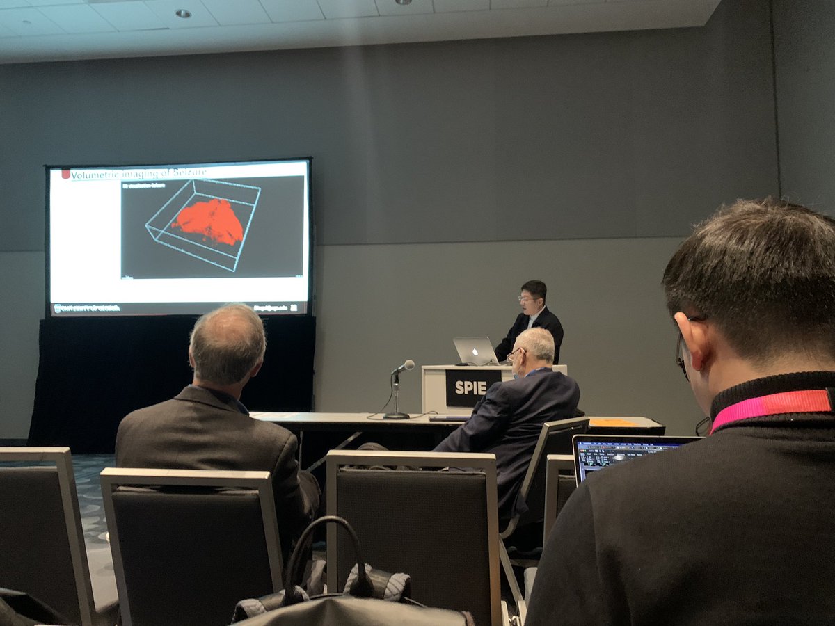 KnerLab's tweet image. More great talks! This one from Bingxi on 3D imaging of seizures in zebrafish. @UGA_ECE_Engr