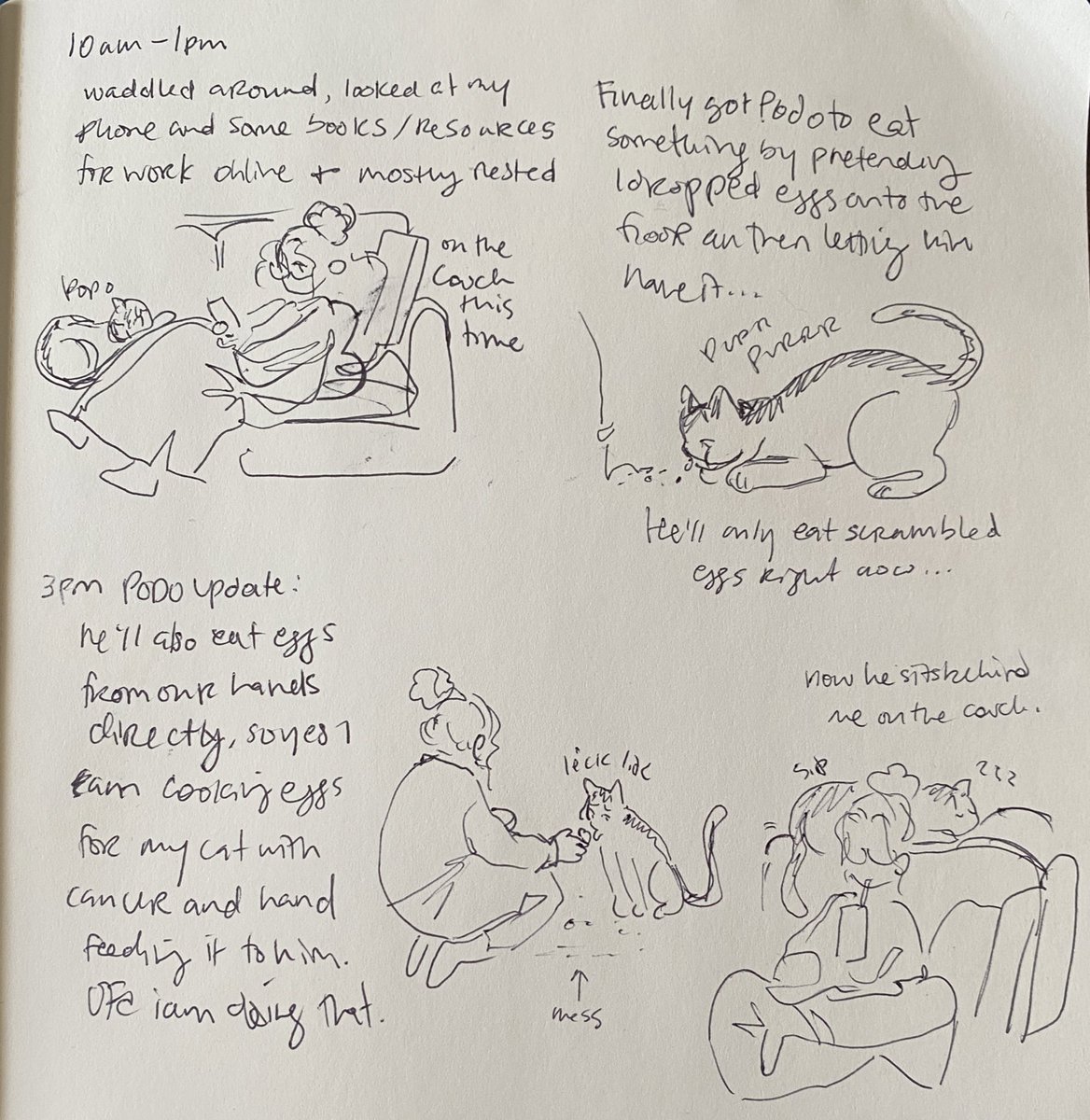 once again here is my meager participation in hourly comics guest appearance/ft our very sick cat