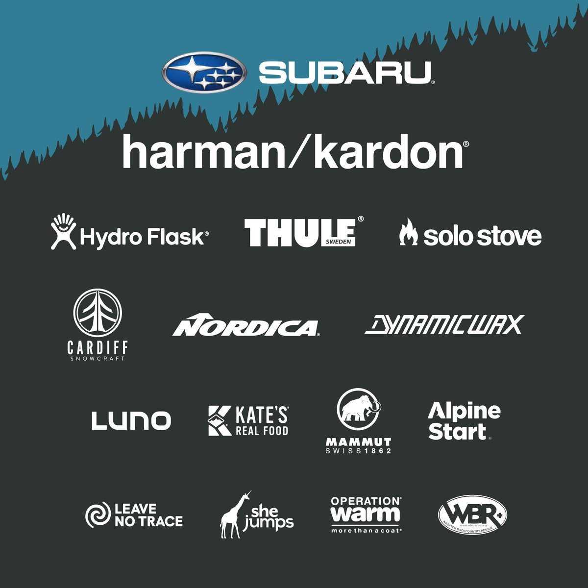 SheJumps tweet media