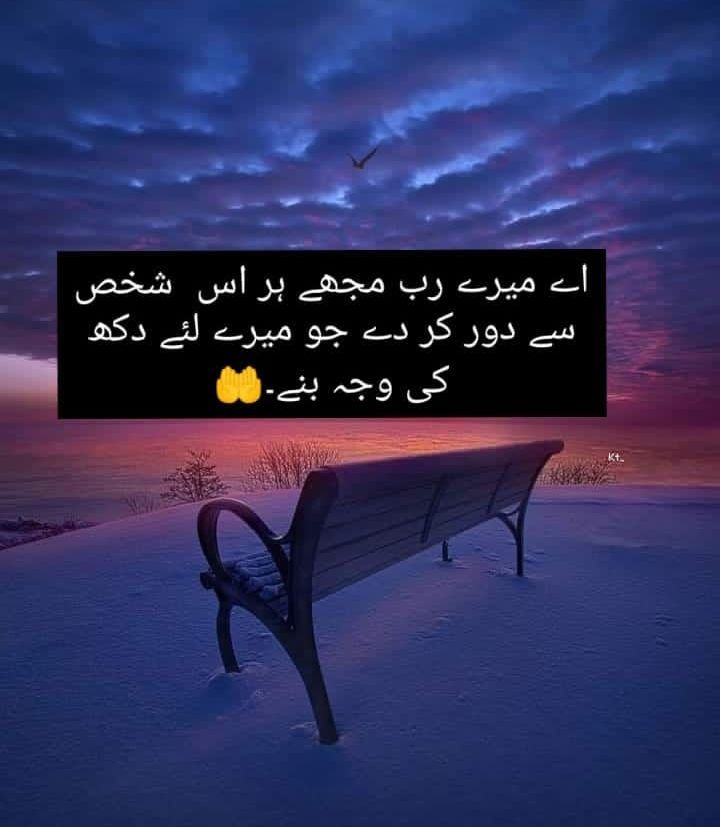 AimanTariq87550's tweet photo. جمعہ مبارک 💕
#quotes #quotecommunity #nature #naturelovers #amazing#love #naturalbeauty
#love #photo #photooftheday #picofthedayday #postoftheday #deeplines #deepwords #deepthoughts #quotelovers #quotechallenge #quotesaboutlife #deepthoughts #deepwords #photochallenge https://t.co/smcmcDg1DP