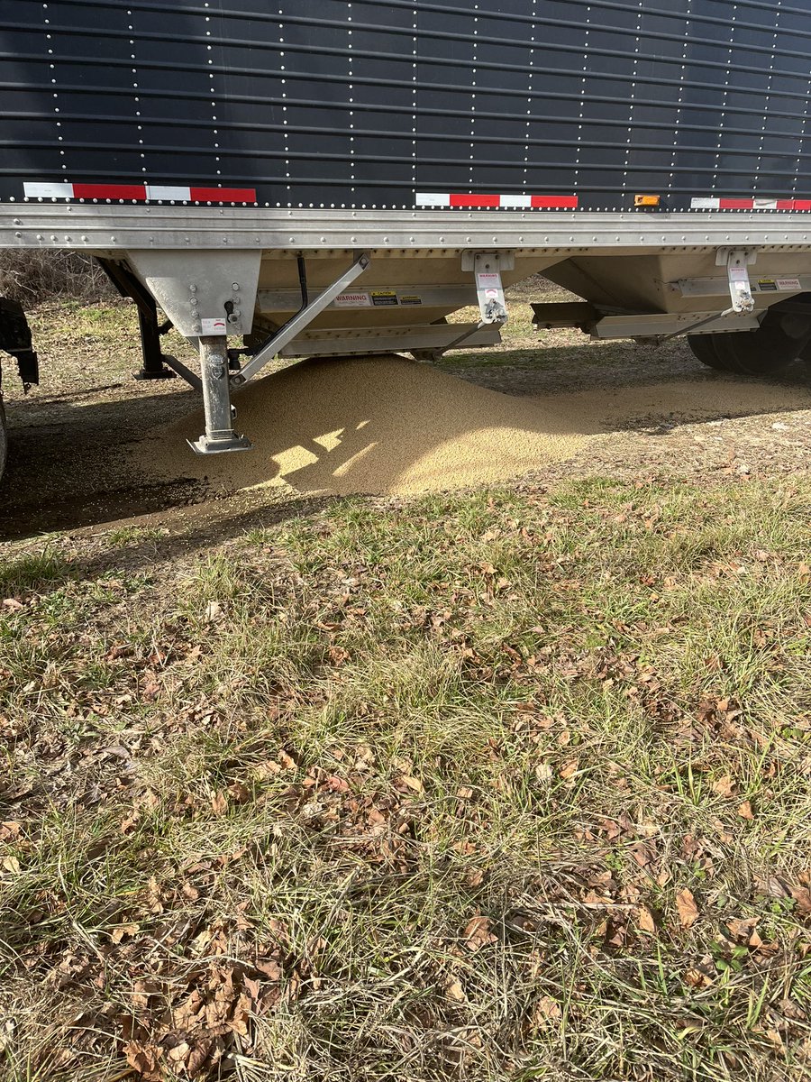 Mark Thomas tweet media