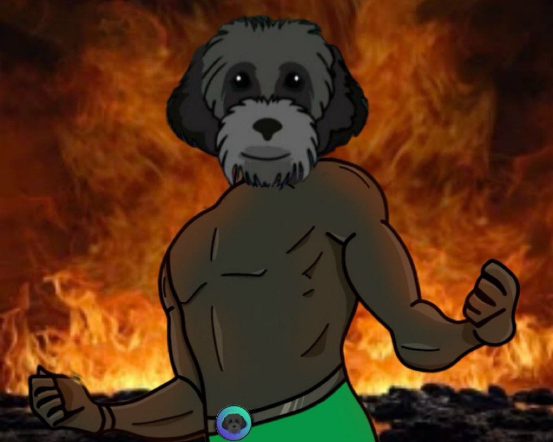 Good Friday $MYRO Family 🐕‍🦺 Quick tweet to address some information: A  Crypto YouTuber @cryptogalaxycc made a post in his discord saying certain  news about exchange listings that were not true causing