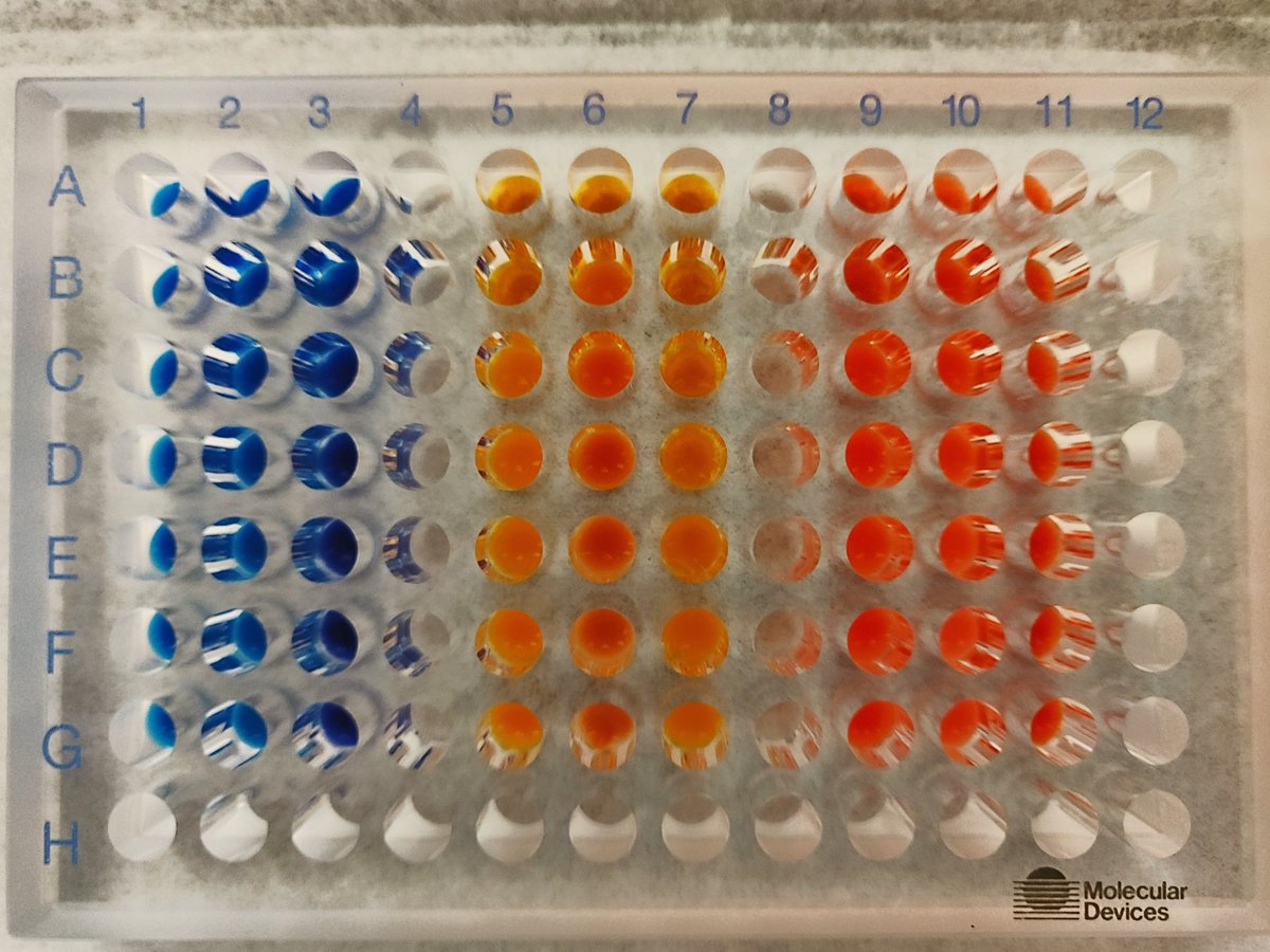 NavidBizmark's tweet image. Fun to work with #dyes! Fingers crossed for fun results 🤞

#dye #colors #colloid #degradation #catalysis #nanoparticles #uv #vis