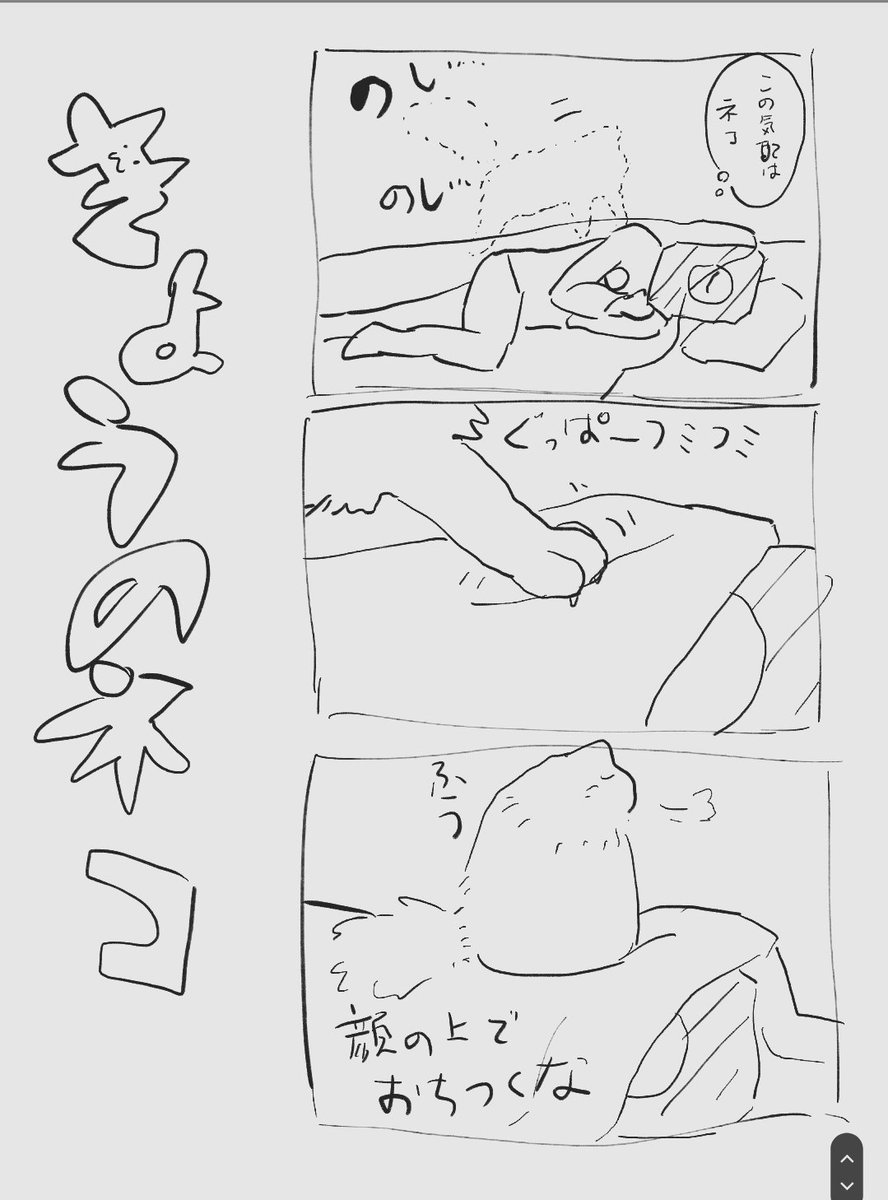 きょうのねこ 