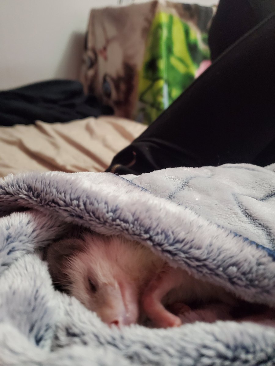 YT Eternity Flame and Co. tweet media