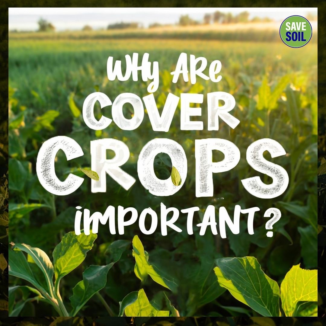 Gargi #SaveSoil tweet media