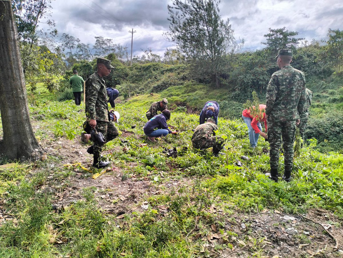 mindefensa's tweet photo. #IncorpórateAlEjército | A partir de hoy y hasta el 25 de febrero estarán abiertas las incorporaciones para prestar servicio militar en el @COL_EJERCITO. 

La jornada está dirigida a hombres y mujeres entre los 18 y hasta faltando un día para cumplir los 24 años de edad.

Quienes decidan ingresar tendrán beneficios en salud, educación y una bonificación mensual de $650.000

Toma la mejor decisión y sírvele al país. Más información en https://t.co/F916xjsRmA