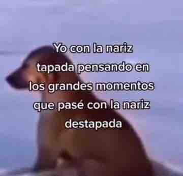 Guarromantico_'s tweet photo. Soy ese ahora. https://t.co/7Esk1tY1iP