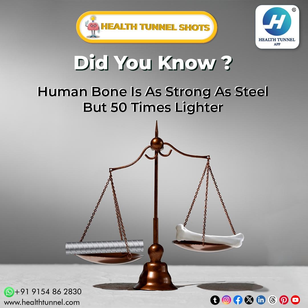 HealthTunnel's tweet photo. Do Follow, Like and share The Healthtunnel For More Interesting, helpful and informative content about your health and wellness.
⬇️DOWNLOAD THE APP NOW
https://t.co/oSdcK7e7YI
#healthtunnel #bonestrength #steellikebones #lightweightbones #humanengineering #strongyetlight https://t.co/r6YxSQzlMw