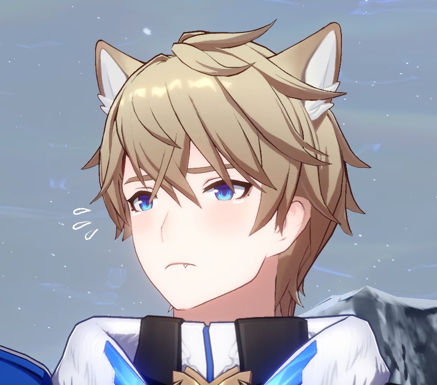 what do you mean you don't like gepard?