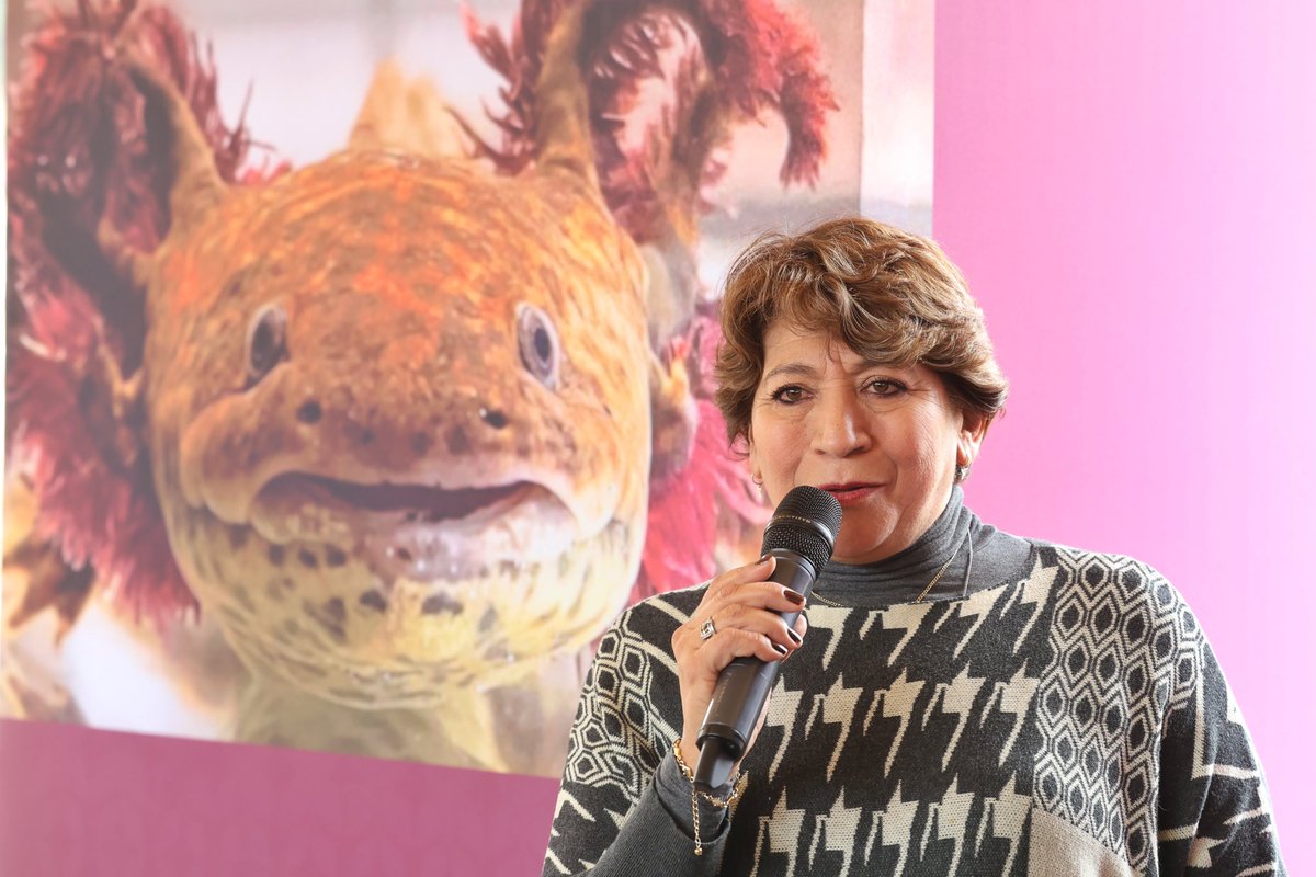 Es muy importante el cuidado de nuestro medio ambiente. Con agrado les comparto que realicé un recorrido por el Ajolotario del Parque Sierra Morelos, en #Toluca, donde concientizamos la importancia de preservar las 7 especies de estos anfibios prioritarios mexiquenses. Asimismo,