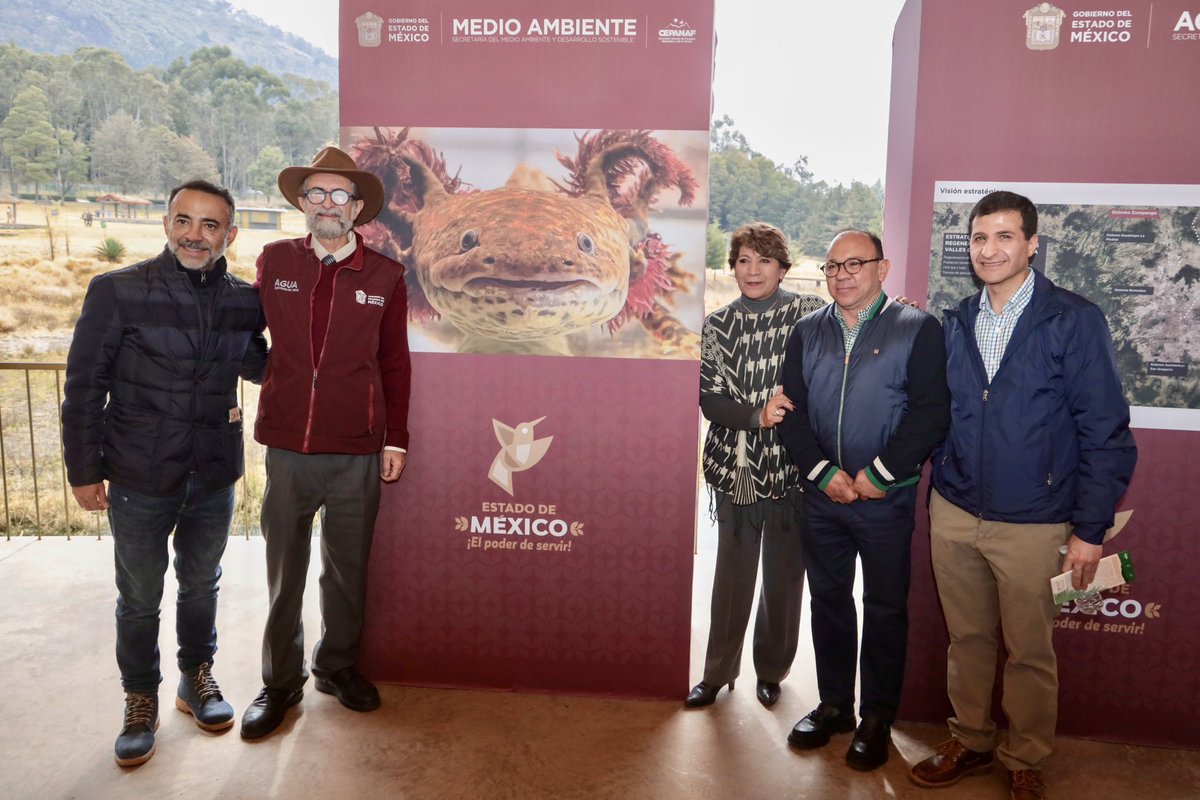 delfinagomeza's tweet photo. Es muy importante el cuidado de nuestro medio ambiente. Con agrado les comparto que realicé un recorrido por el Ajolotario del Parque Sierra Morelos, en #Toluca, donde concientizamos la importancia de preservar las 7 especies de estos anfibios prioritarios mexiquenses. Asimismo, conversamos sobre el Plan de Recuperación de Humedales de Sierra Morelos, Zamarrero, Alameda 2000 y el Parque Ambiental Bicentenario. 

#ElPoderDeServir