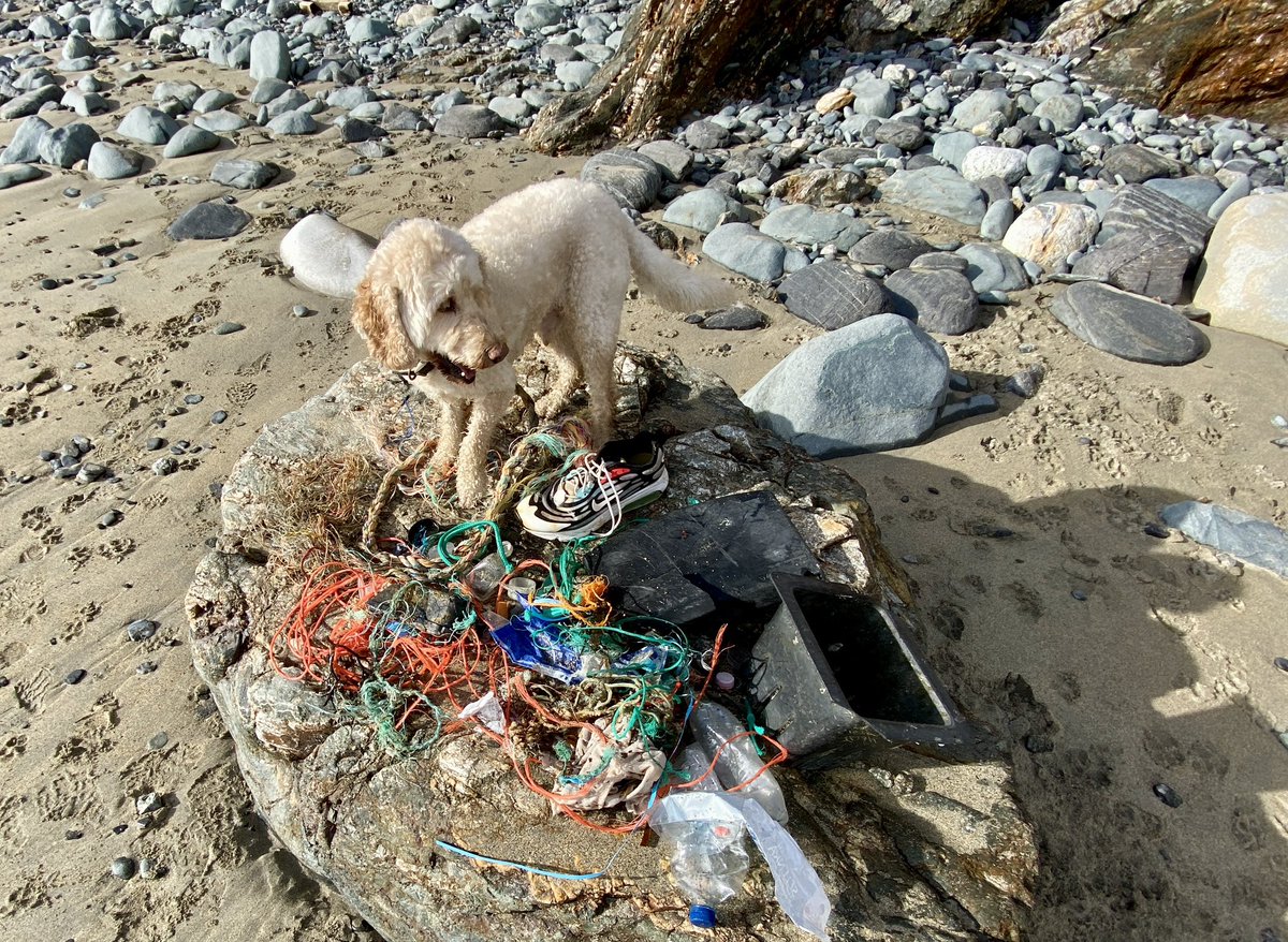 CornishSpliced's tweet photo. Our Stunning coastline, weβre trying to #MakeADifference and help to keep it this way.
Lots of sprat keyrings on their way
https://t.co/5G7R020Fag
#plastic #Ghostgear #rePURPOSEDinCORNWALL https://t.co/ektQpb6pr5