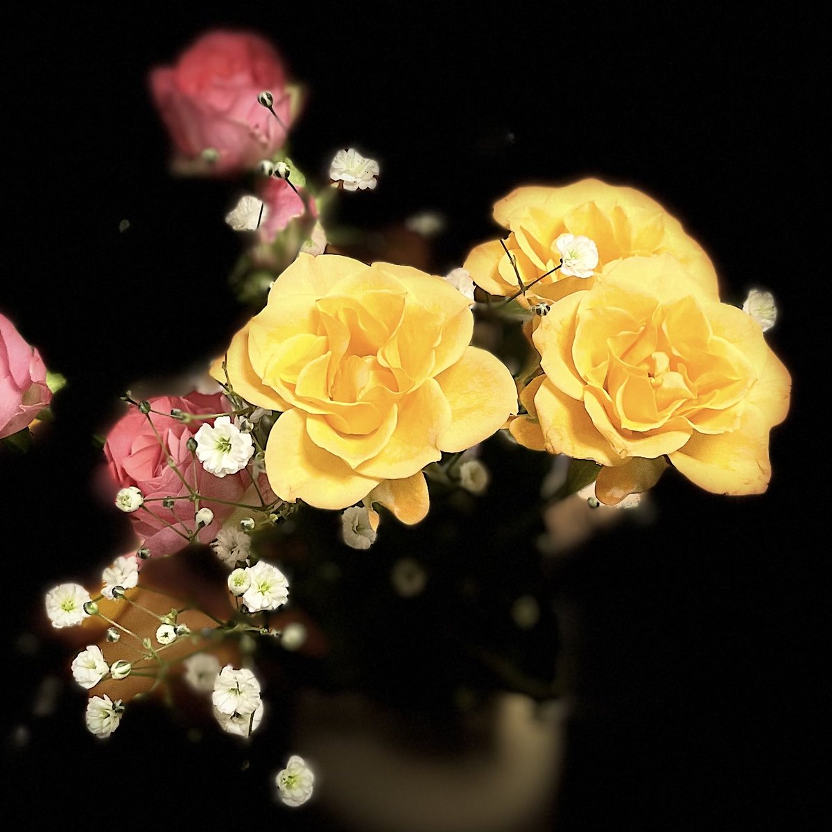 #薔薇 #バラ#冬のバラ #flowers #flowerstagram #flowerphotography #flowerlovers #naturephotography #nature #naturelovers #osaka #japan#道端の花#rose #yellowroses