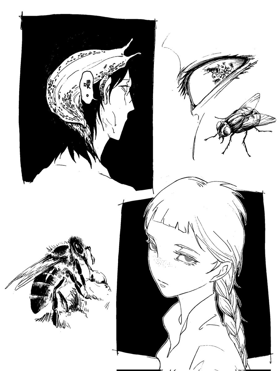 TreeOlivier's tweet photo. oc https://t.co/UBpTN6qrWn