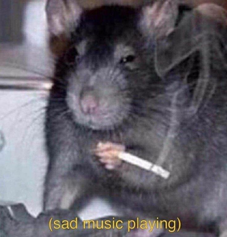 RatPeeVAL's tweet image. Tough loss sorry to the fans we will be back stronger… #keeppissin #runratsrun #RatPeeFighting