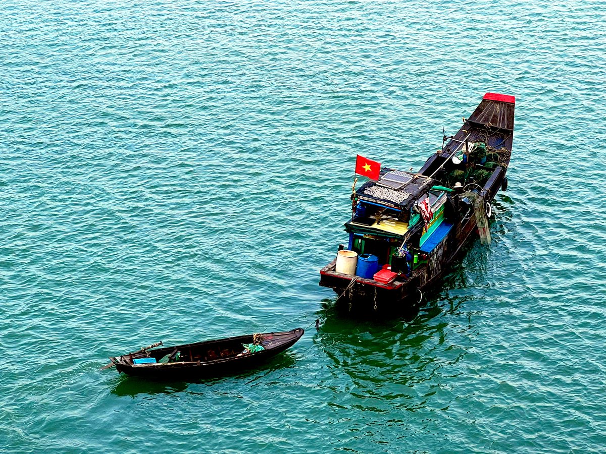 Phu My ( Ho Chi Minh)this morning, watching a fisherman pull his nets.  Yes … he’s very close to the ship. @perxvacations