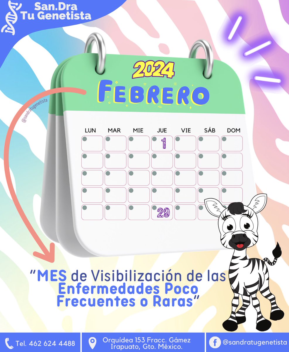 oms_dra's tweet photo. 🗓🧬🦓  #EnfermedadesRaras | Febrero ❤️no solo es el mes del Amor y Amistad, sino que también es el mes donde se visibilizan las 💛💙💜 Enfermedades Poco Frecuentes (EPOF) o también conocidas como Enfermedades Raras (ER), Enfermedades Huérfanas (EH) o minoritarias. https://t.co/Be1eq078Vo