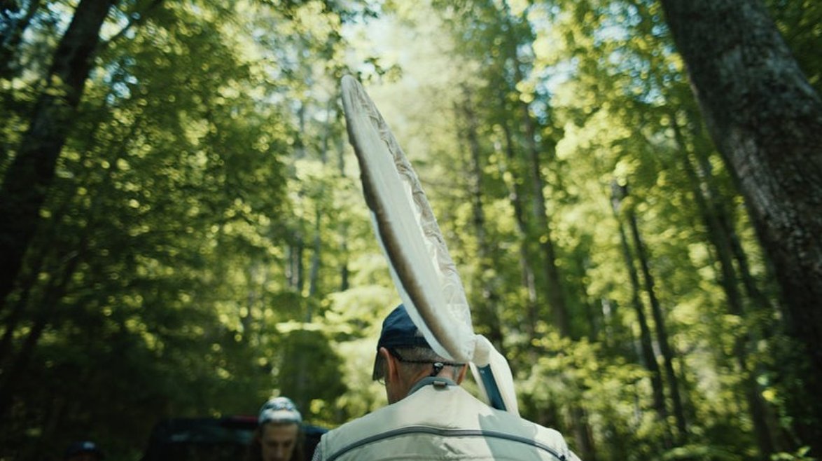 CaterinoLab's tweet photo. Dr. John Morse was recently the subject of a short film "Caddisfly", directed by Olivia Lund Johnson. After a stint on the film festival circuit, it is now available for public viewing (account sign-up required): https://t.co/zTneFhgCtE
It's a lovely story. Please enjoy! https://t.co/UiFwZNUmlX