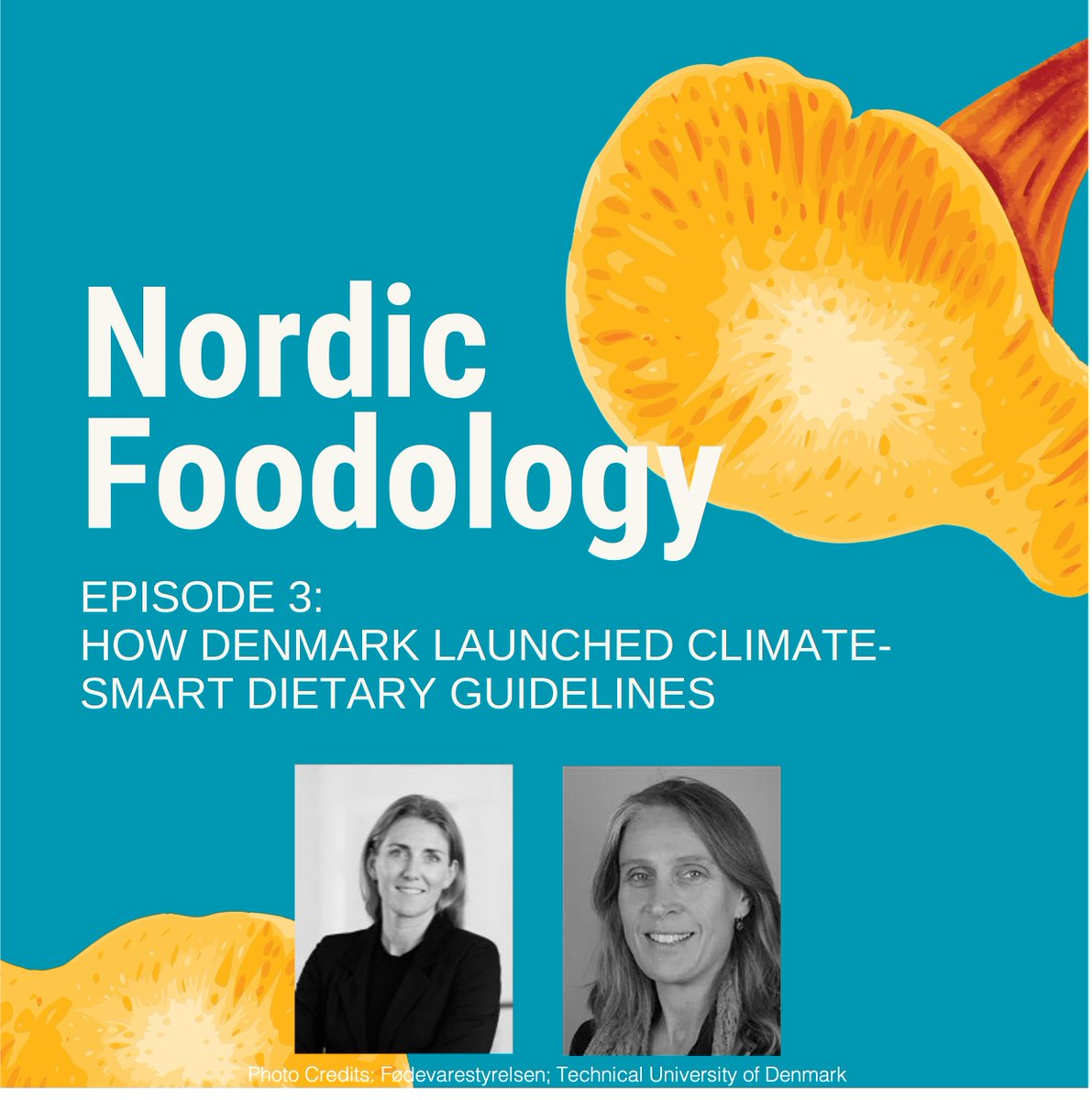 And we're back! Listen to the latest episode of Nordic Foodology to hear @AnnePohl from @Foedevare and Ellen Trolle from @DTUtweet share how Denmark was ahead of the curve in launching climate-smart dietary guidelines. amandawood.se/276-2/