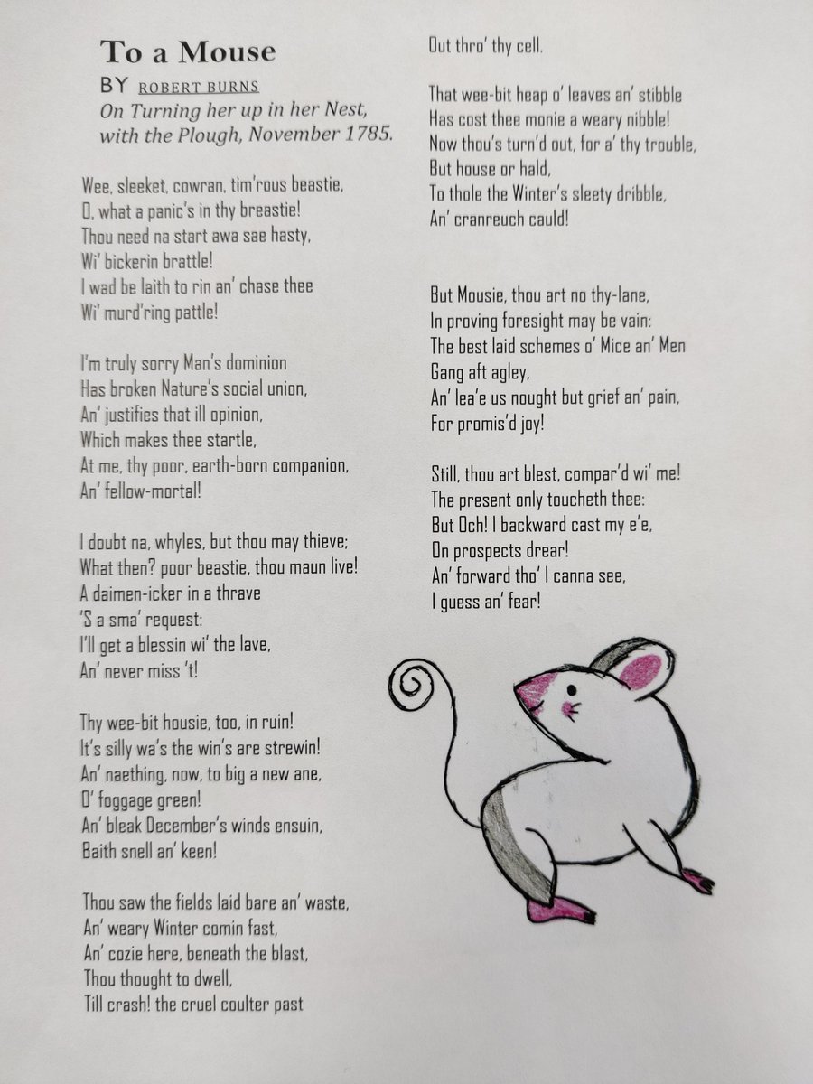 MissSmithArtDes's tweet photo. S3 illustrated some mice to go alongside Robert Burns' famous poem 'To a Mouse' for Burns Day. They all developed their own styles of illustrating and the poems look great with their mice illustrations!
#BurnsDay #toamouse #RobertBurns #illustration https://t.co/o8IOduC2f3