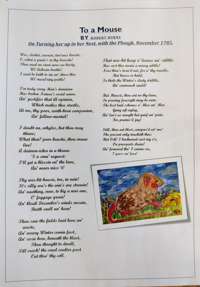 MissSmithArtDes's tweet photo. S3 illustrated some mice to go alongside Robert Burns' famous poem 'To a Mouse' for Burns Day. They all developed their own styles of illustrating and the poems look great with their mice illustrations!
#BurnsDay #toamouse #RobertBurns #illustration https://t.co/o8IOduC2f3