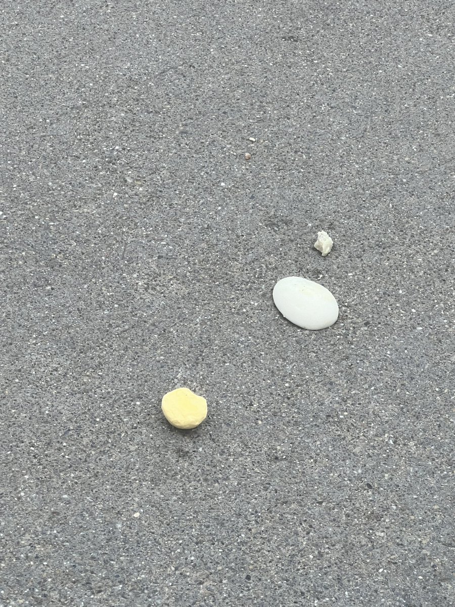 ornery_disabled's tweet photo. art on campus https://t.co/fCUcQmZ0ZL