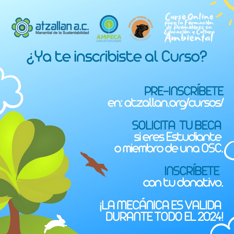 Atzallan's tweet photo. ¿Ya te inscribiste a nuestro #Curso? ¡Solicita tu #Beca si eres #Estudiante o miembro de una Organización de la Sociedad Civil #OSC!
#AMPECAMx #AtzallanMeInspira 📊💦⚡️♻️🏡🍃
✅ PRE-INSCRIPCIÓN: https://t.co/ni6V0dba2Q
💰 DONATIVO: $1000.00 por participante. https://t.co/LWVN1ajfim